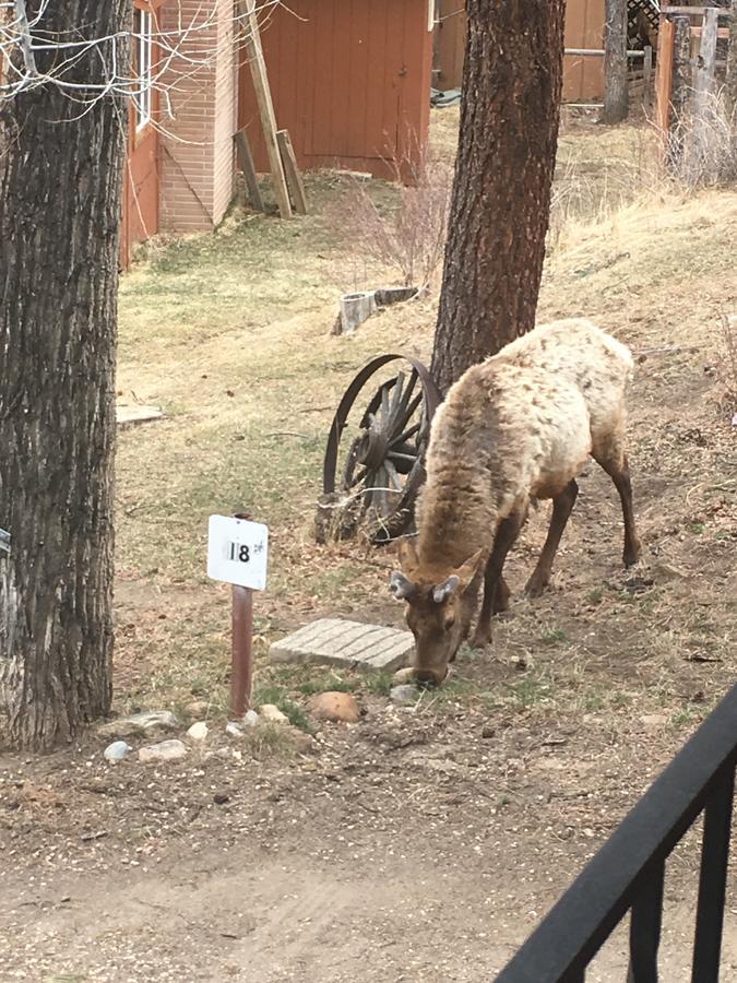 הוילה אסטס פארק Riverview Pines מראה חיצוני תמונה