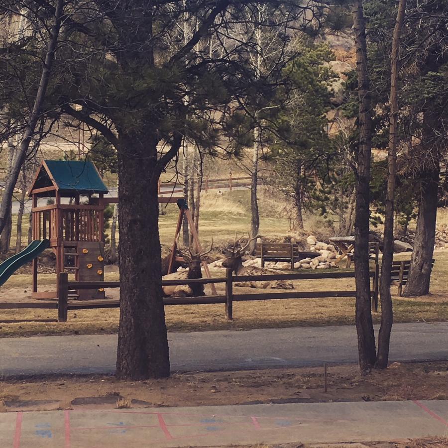 הוילה אסטס פארק Riverview Pines מראה חיצוני תמונה