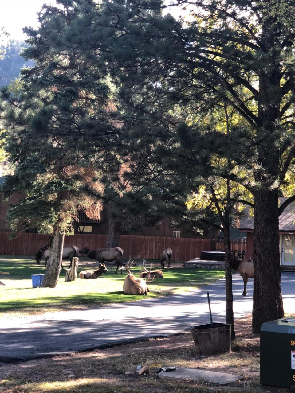 הוילה אסטס פארק Riverview Pines מראה חיצוני תמונה